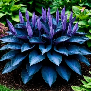 Хоста Сикрет Гров купить по цене от 570р. в интернет-магазине «Посадика» с доставкой почтой в в Анжеро-Судженске и по всей России – [изображение №1].